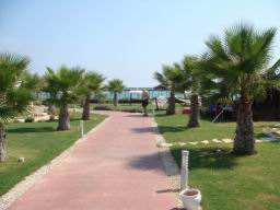 Resize of DSC02096.JPG